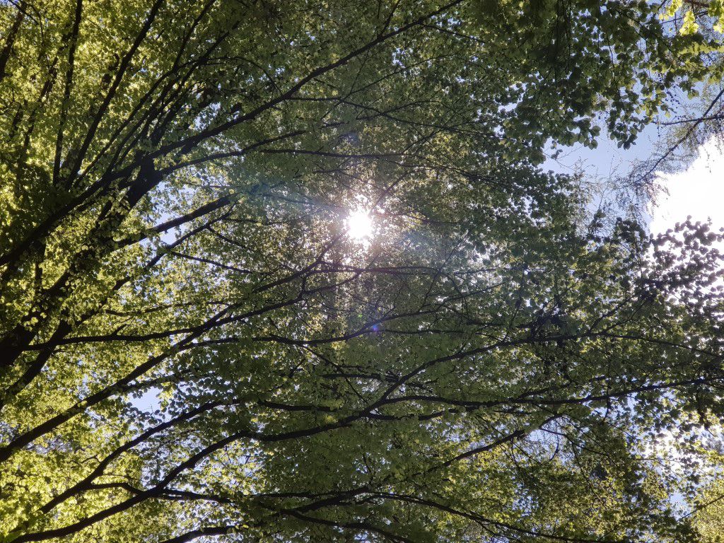 Helmers - Köhlersberg - Wernshausen