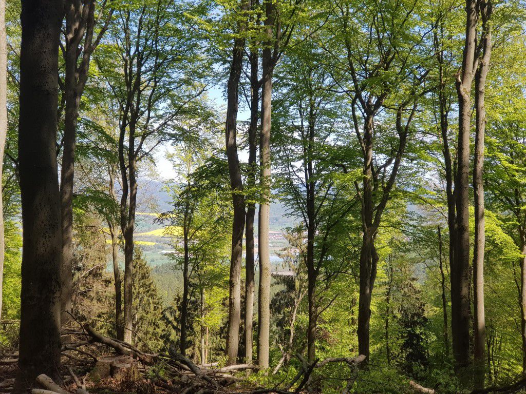 Helmers - Köhlersberg - Wernshausen