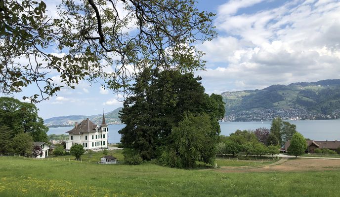 Photo 1 of the Bikemap route "Thunersee-Runde Plus, etliche Fotostopps – und viel Gegenwind"