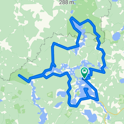 Seliger_may