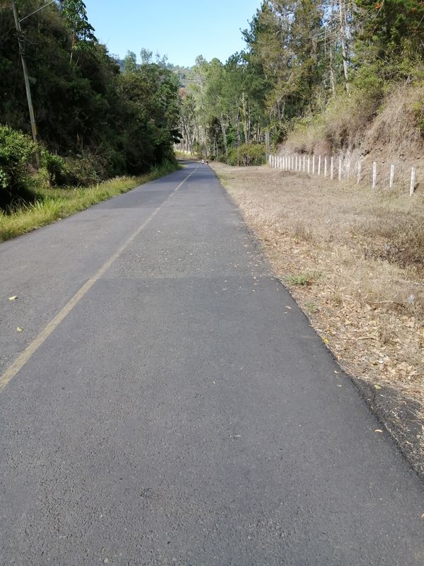 De Cartago a Cartago