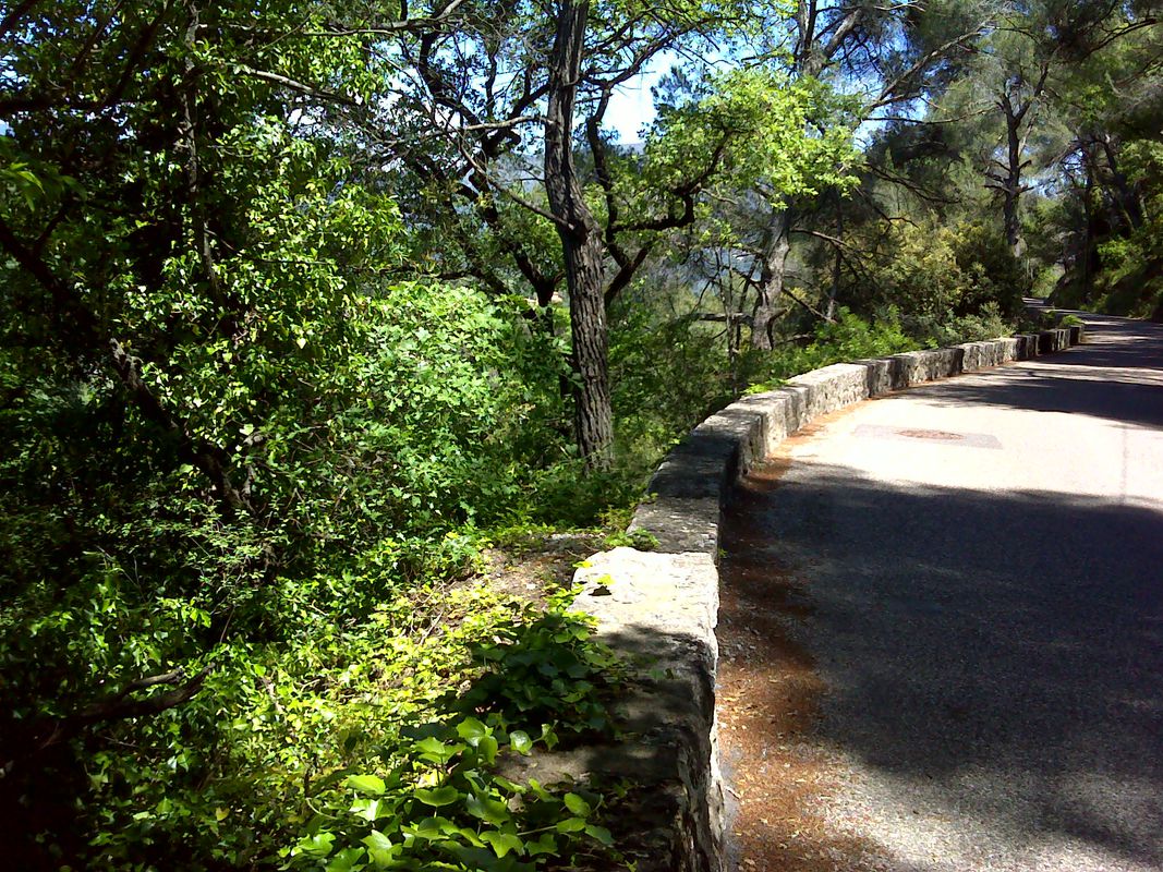 Gréolieres Grasse Tour
