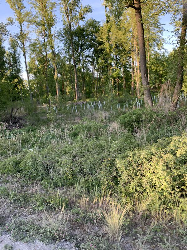 Kurze Tour nach dem Abendessen.