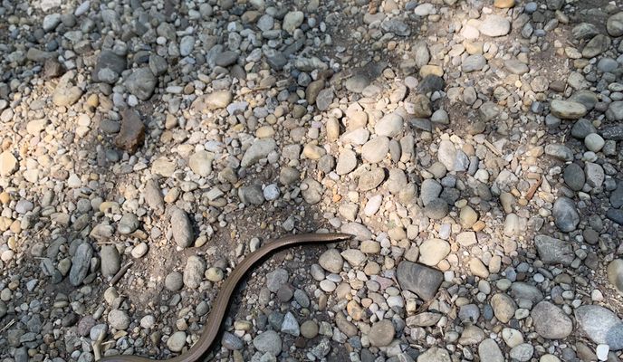 Photo 2 of the Bikemap route "ÄåË?? nach ÄåË??"