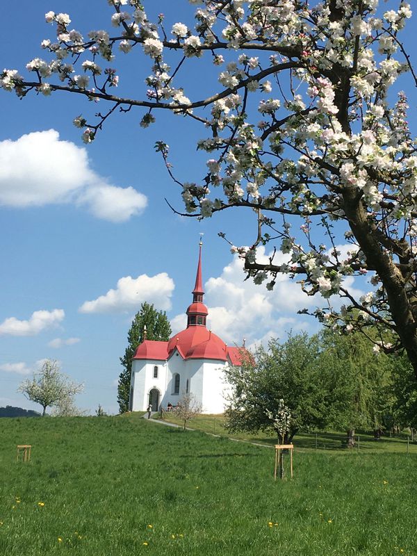 Sempacher See - Kapellenweg LU/ eine "Himmlische Tour"!
