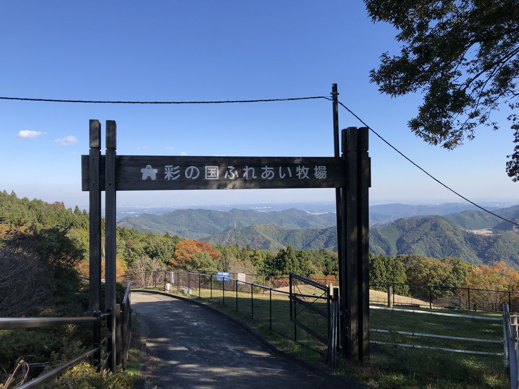 秩父高原牧場サイクリング