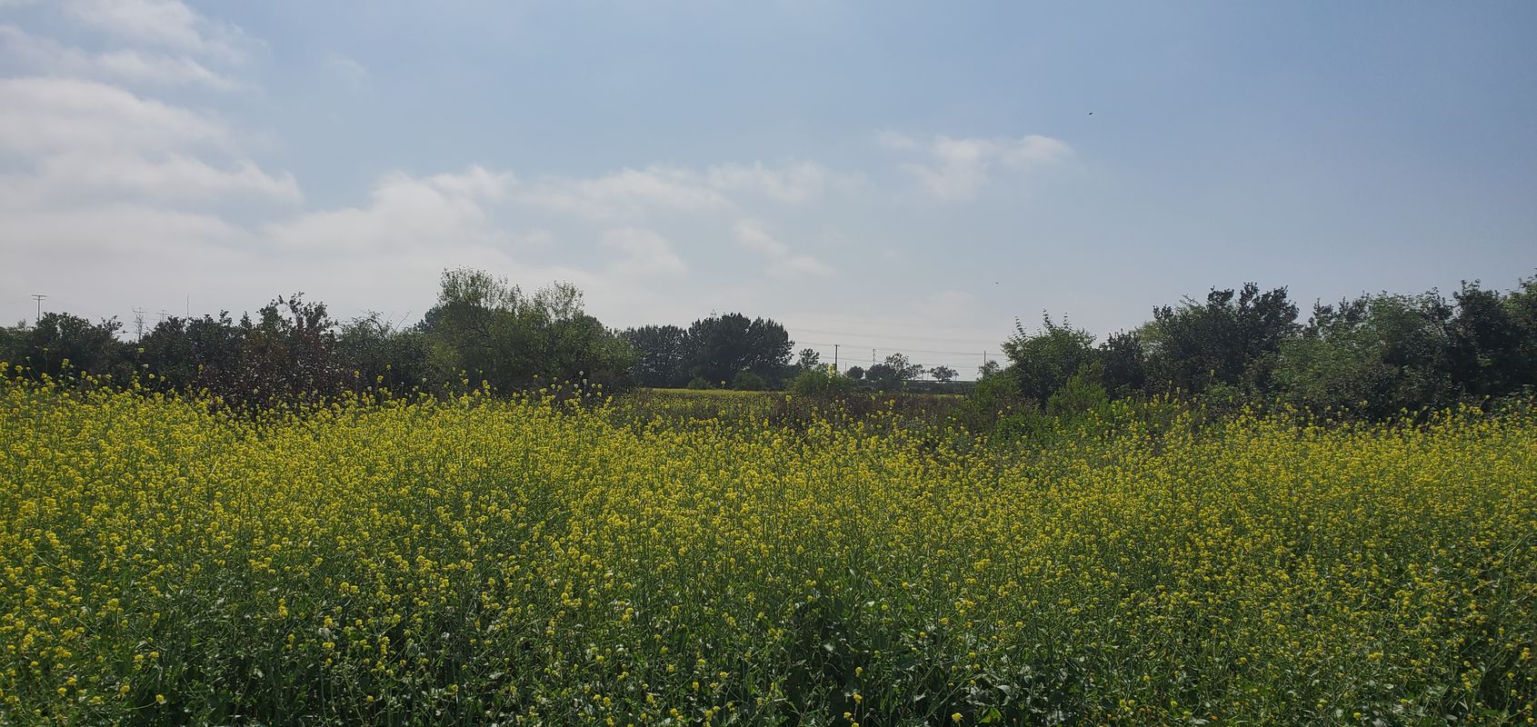 West 19th Street 960, Costa Mesa to West 19th Street 960, Costa Mesa