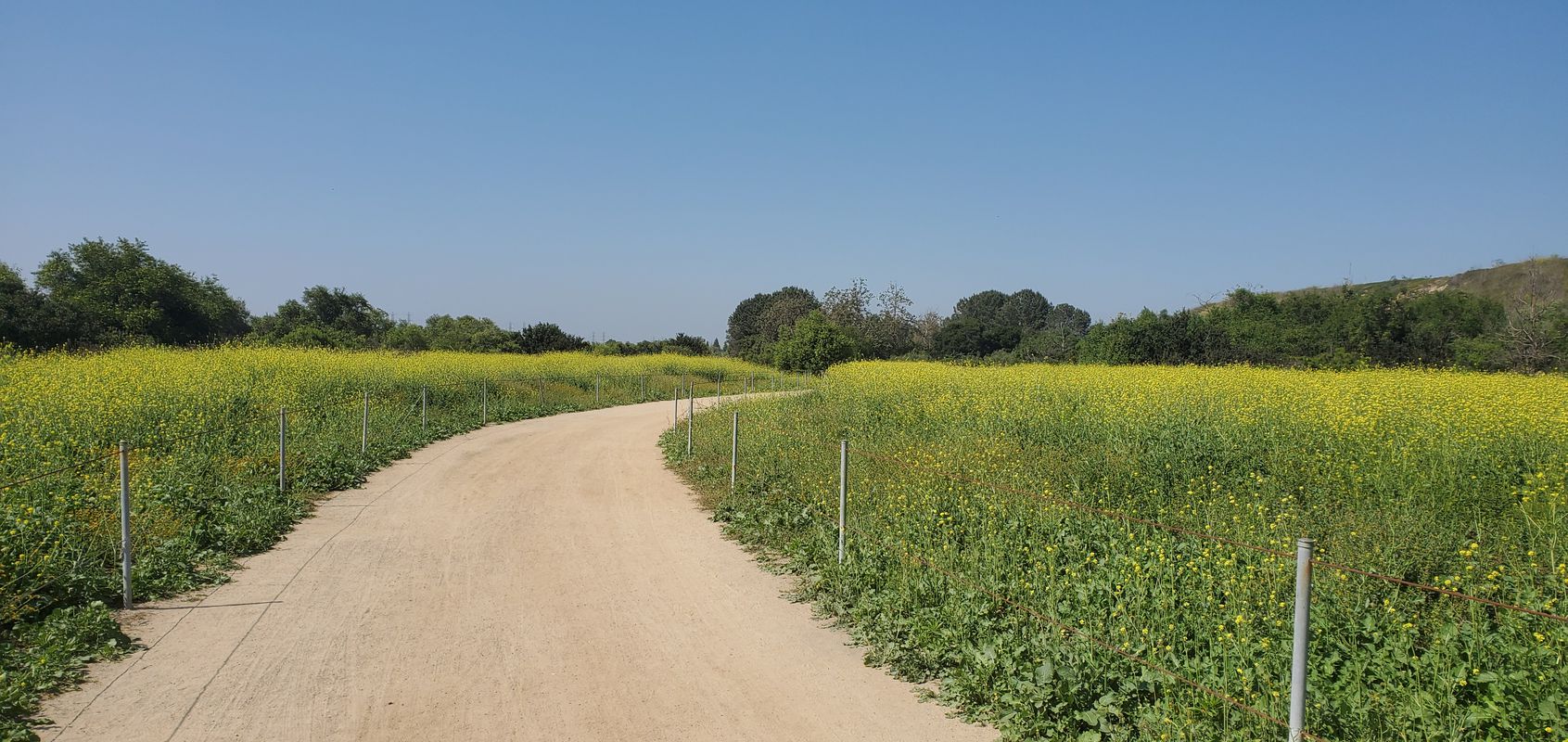 West 19th Street 960, Costa Mesa to West 19th Street 960, Costa Mesa