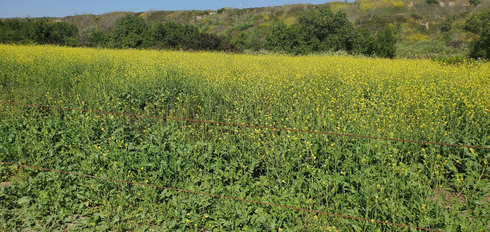 West 19th Street 960, Costa Mesa to West 19th Street 960, Costa Mesa