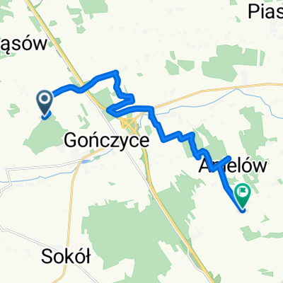 Unnamed Road, Gończyce do Władysławów