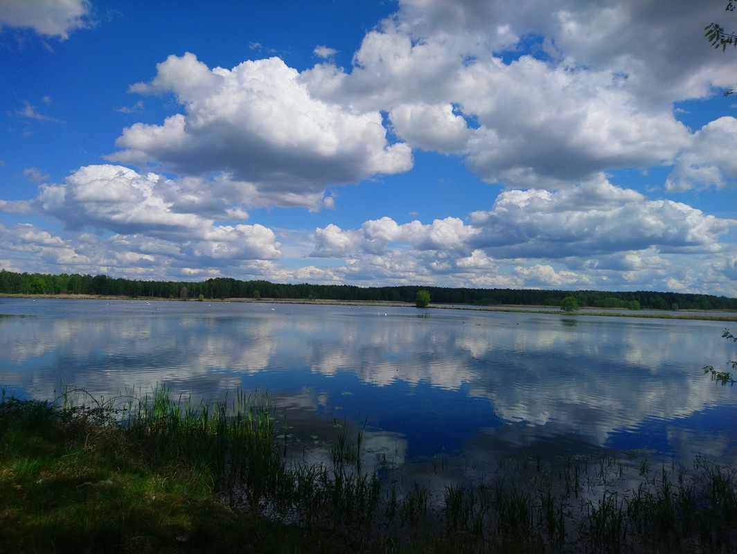 Turów 5, Podgórzyce do Turów 4, Podgórzyce