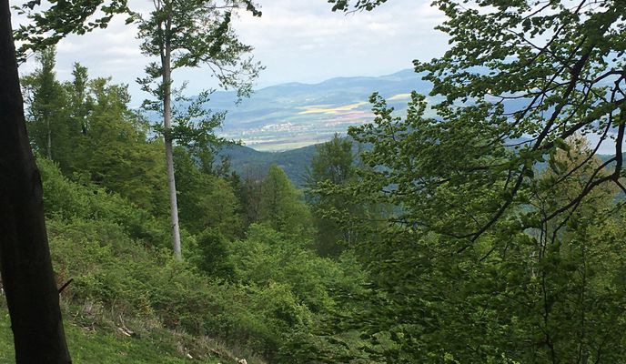 Photo 2 of the Bikemap route "Steady ride in Pilisszentkereszt"