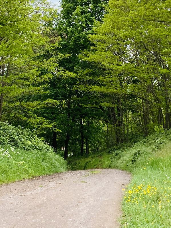 Entspannende Route in Saarlouis