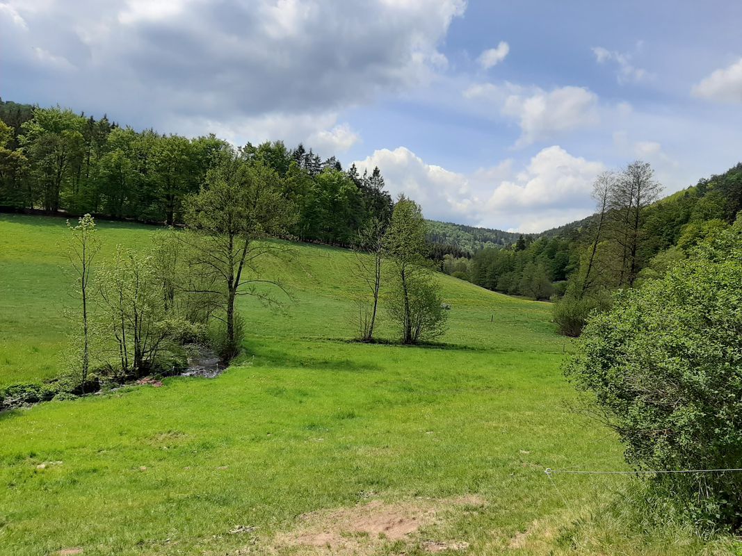 Heubergweg 53, Bad König nach Heubergweg 51, Bad König