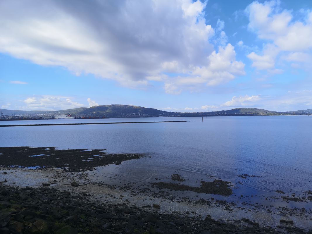 Beechgrove to Holywood via Docks