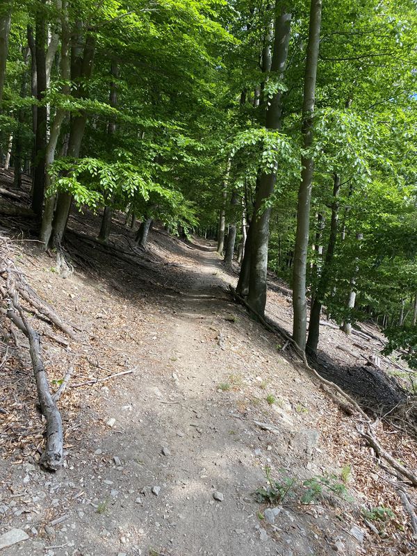 Limbach - slnečné údolie - Pezinok - Limbach