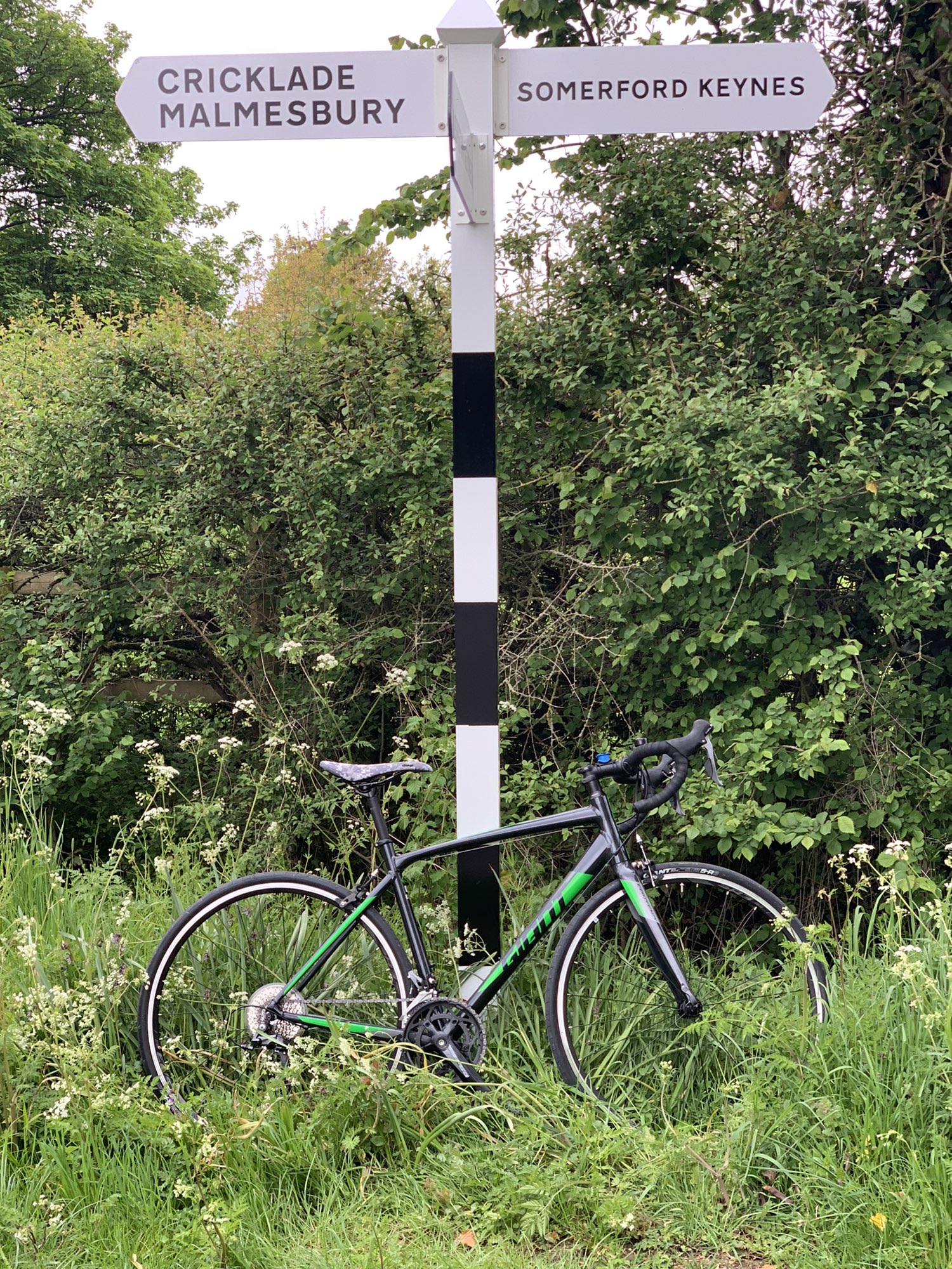 Jolly Nice - Minety circuit 37M