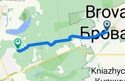 Route in der Bikemap App öffnen