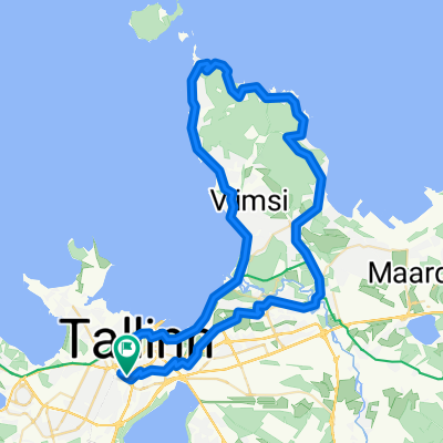 TLL-Puunsi