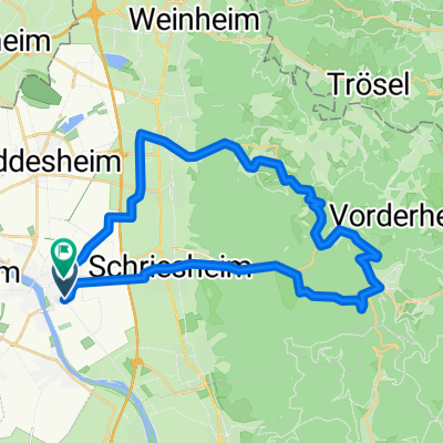 Apfelblütenrunde von Ladenburg
