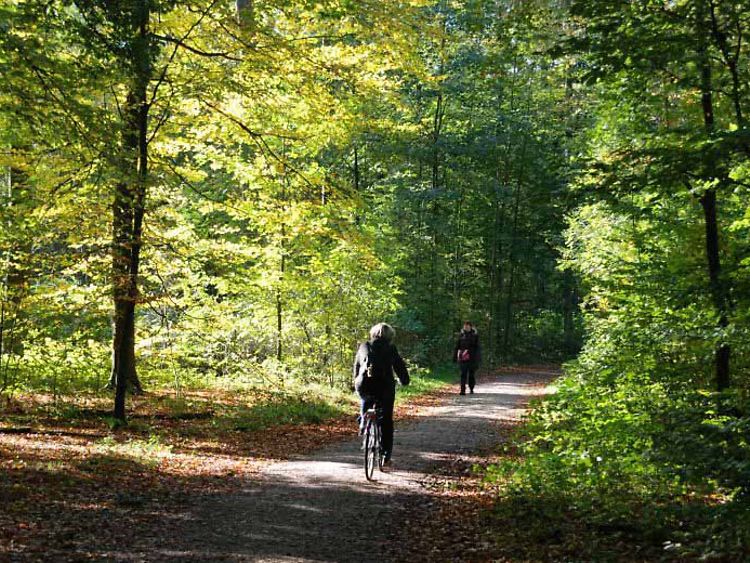 Feierabendrunde rund um Niendorf