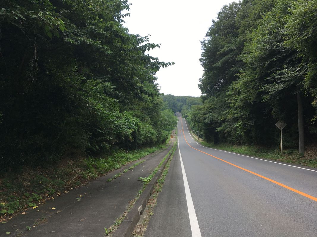 Beef Line Cycling
