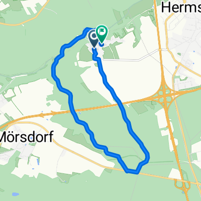 Home Route