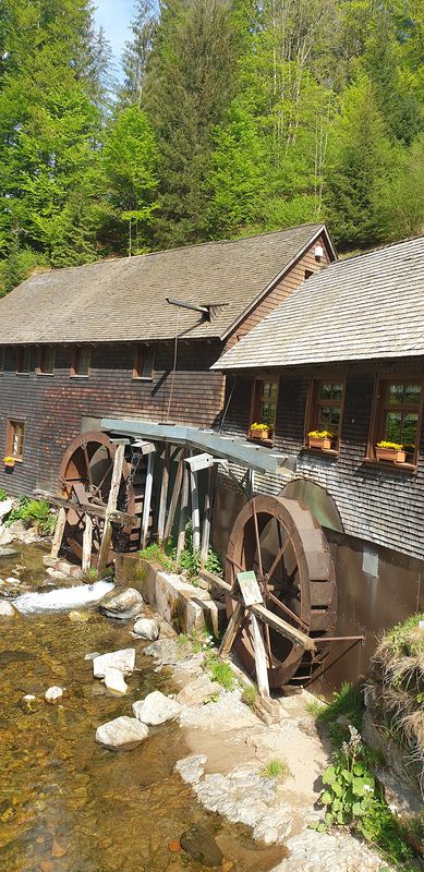 durch das Hexenloch und über den Kandel