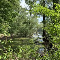Wunderschöne Runde am Rhein