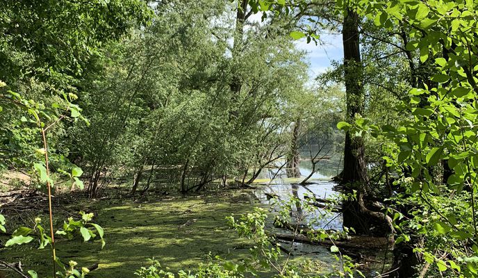 Photo 1 of the Bikemap route "Wunderschöne Runde am Rhein"