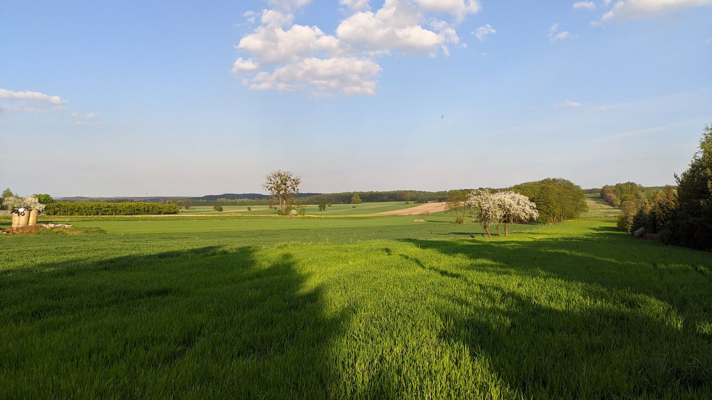 Stare Skoszewy do Stare Skoszewy