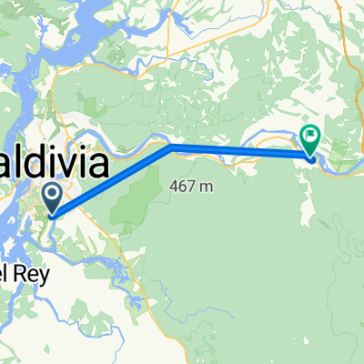 De Intendente Luis Damann Asenjo 753, Valdivia a T-35, Los Lagos