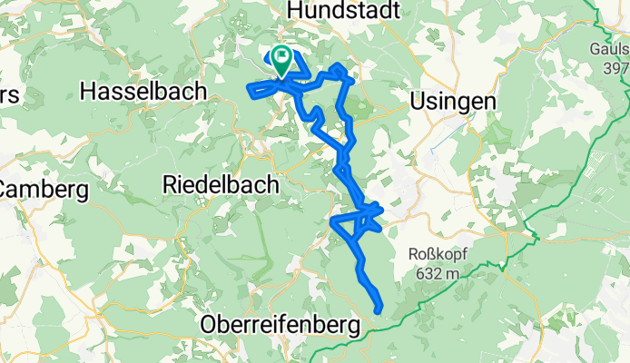 Sightseeingbiking with chappi