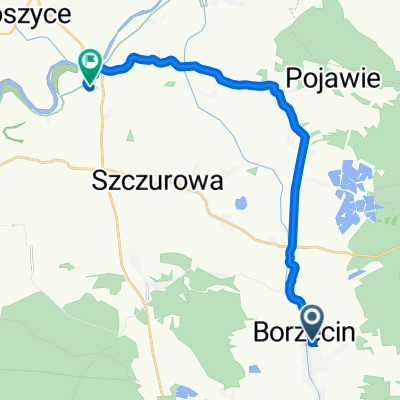 513A, Borzęcin do Górka