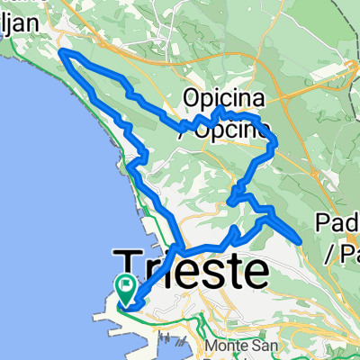 Opicina