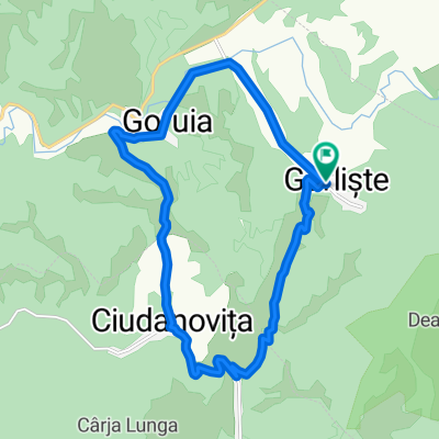 Gârliște - Ciudanovița