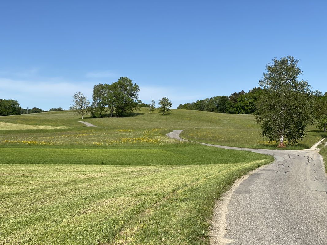 Boucle Rue - Rue par Savigny