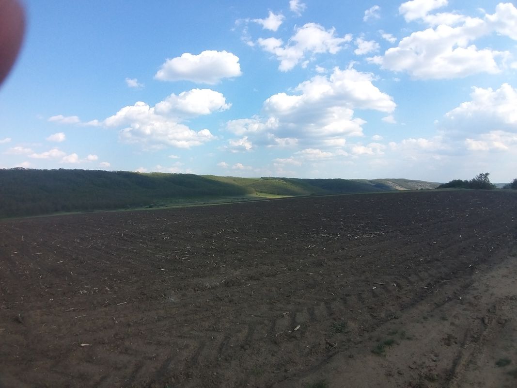 Berești XCM (tura lungă)