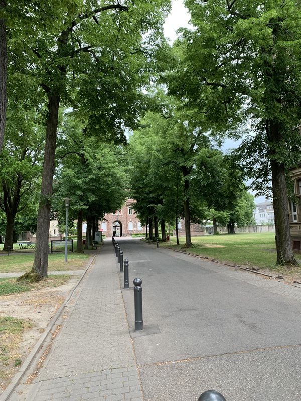 In Erinnerung an meinen Aufenthalt im Klinikum vor einem Jahr