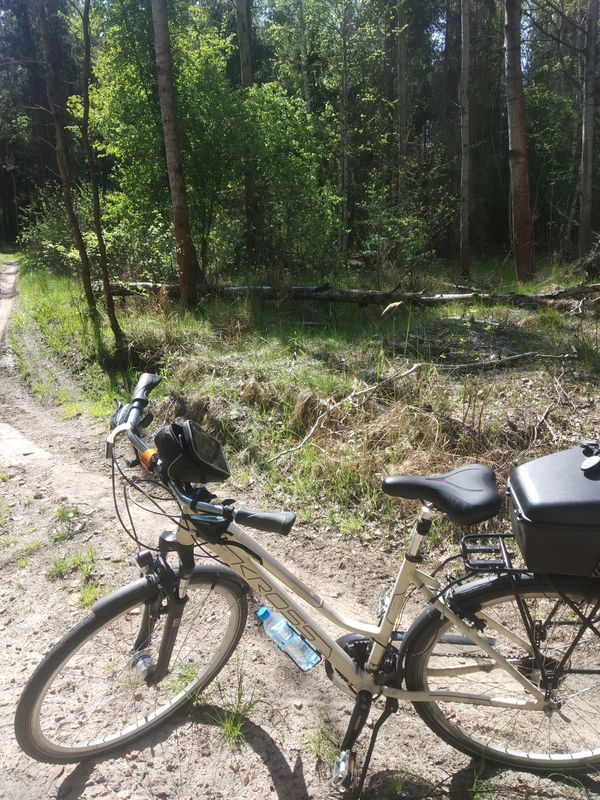 Lipie-Kijów-Radziechowice