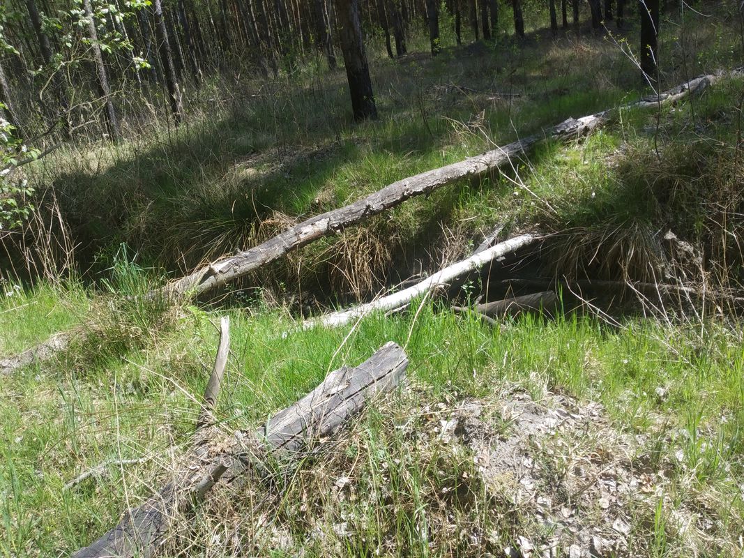 Lipie-Kijów-Radziechowice
