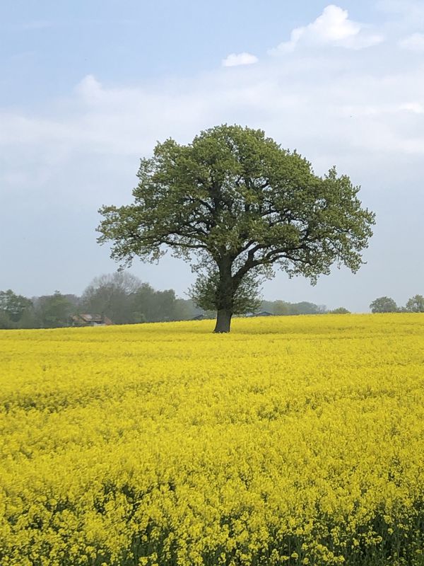 Entspannende Route in Damp