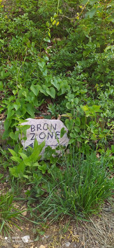 Da SP79 15, Villongo a SP79 15, Villongo