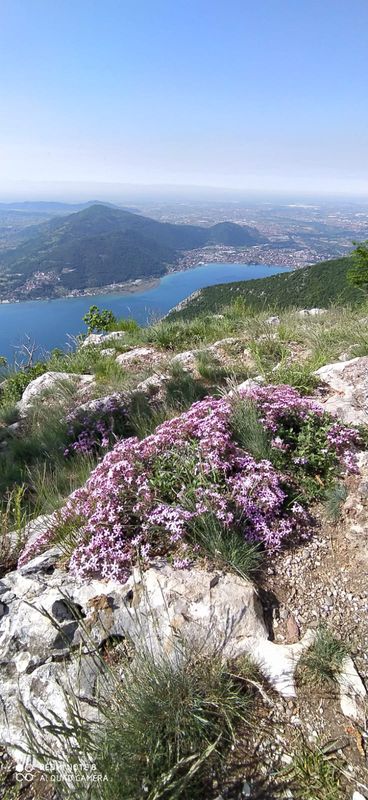 Da SP79 15, Villongo a SP79 15, Villongo