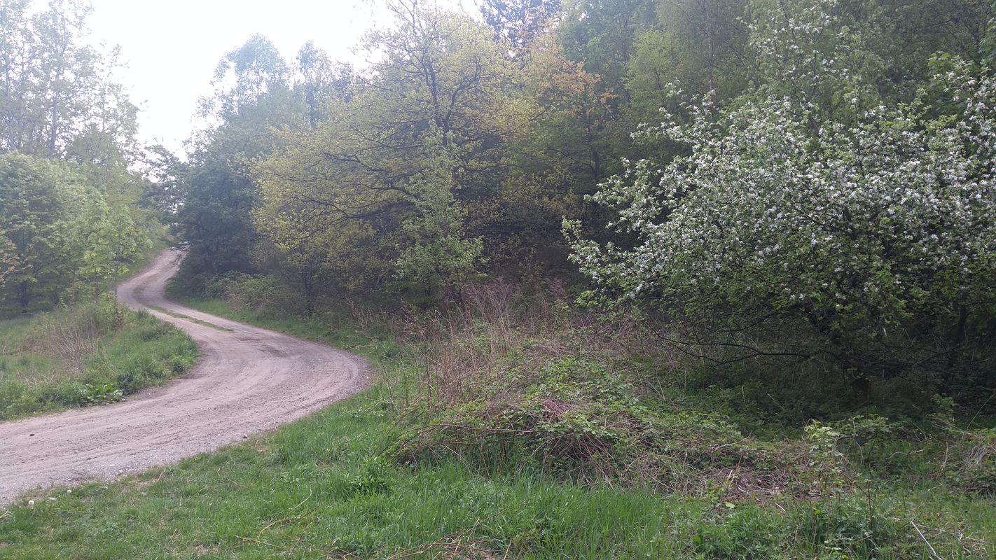 dookoła lotniska w balicach