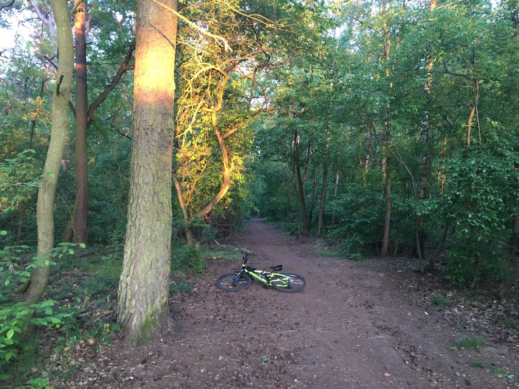 Recovered Route