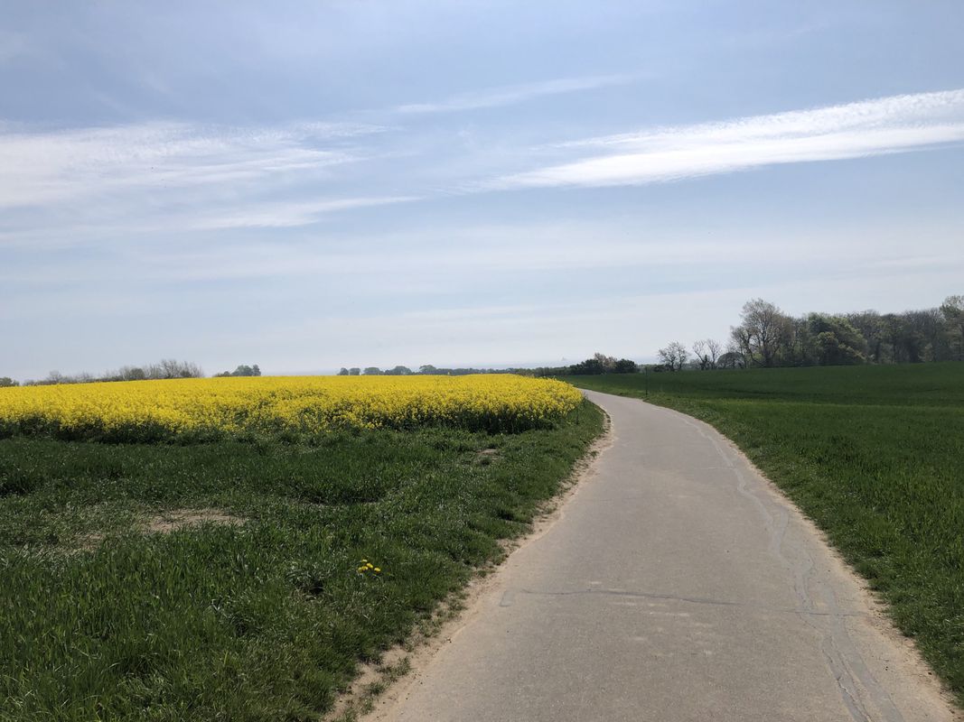 Gemütliche Route in Damp