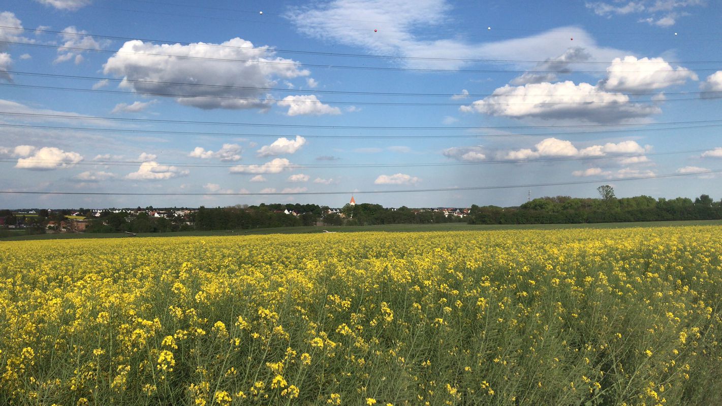 Spokojna trasa do Wiry