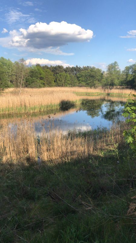 Spokojna trasa do Wiry