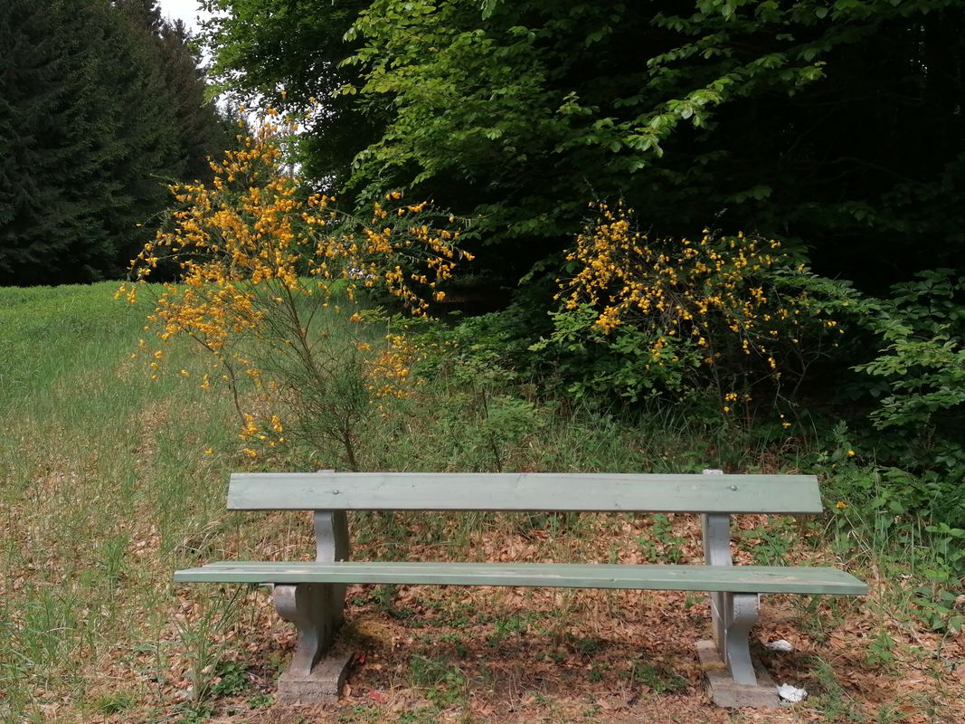Gartenstraße 12, Dernbach nach Gartenstraße 12, Dernbach